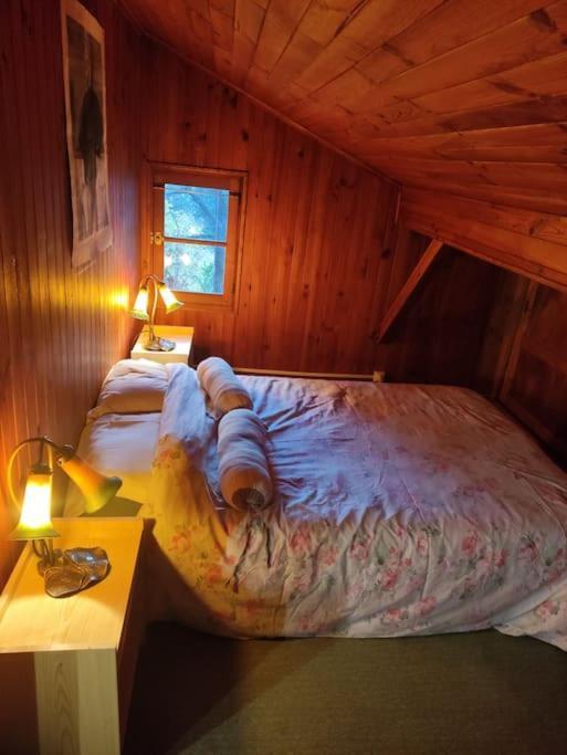 Chalet Accueillant Et Familial Saint-Martin-Vésubie エクステリア 写真
